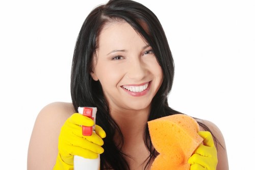 Professional carpet cleaning team committed to safety and care