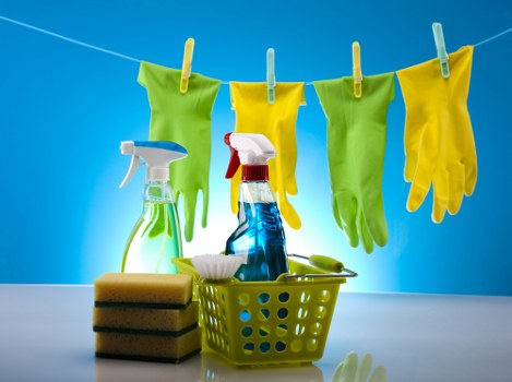 Enzyme treatment used for pet stain odour removal in Orpington