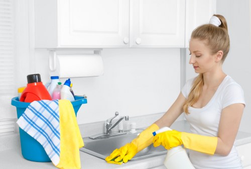 Local carpet cleaning specialists removing deep dirt from carpet fibres